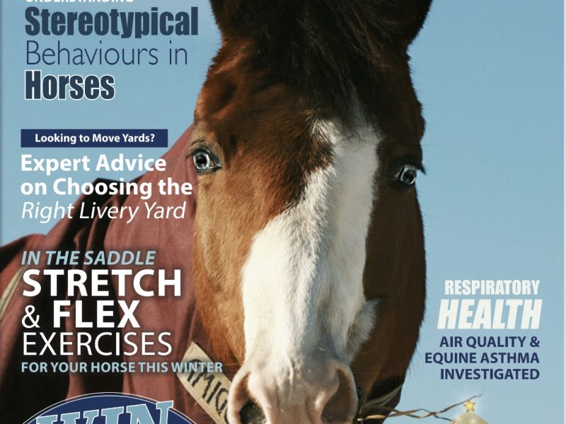 Everything Horse Magazine