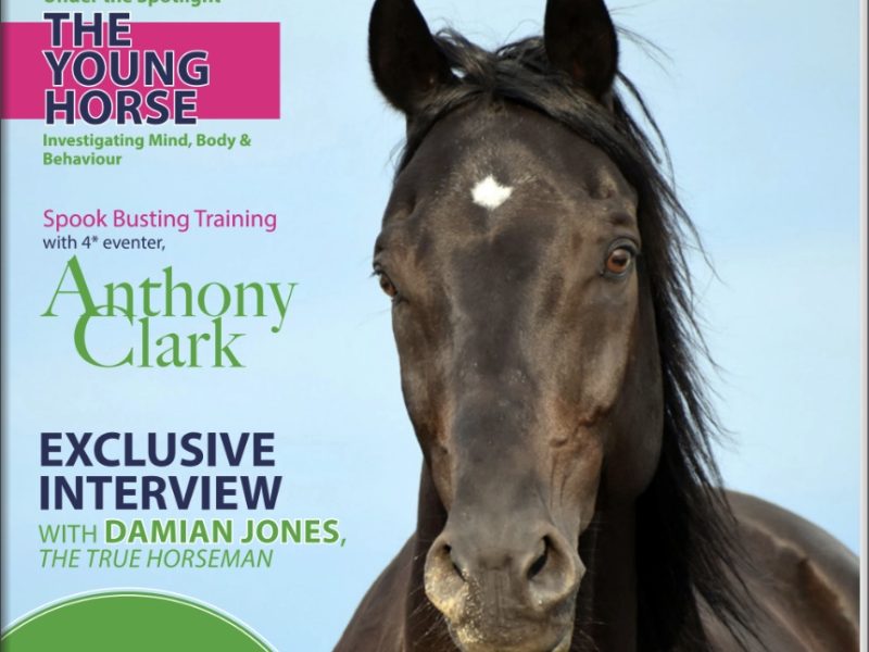 Everything Horse Magazine