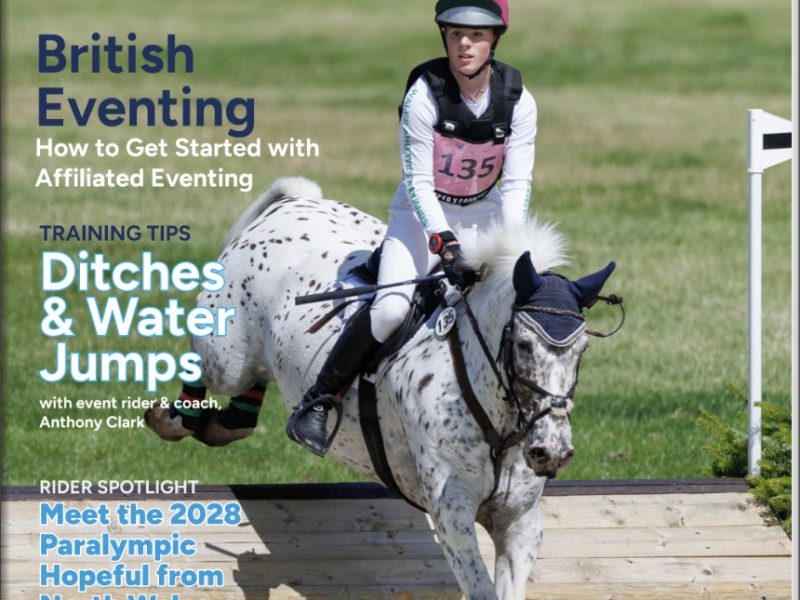 Everything Horse Magazine