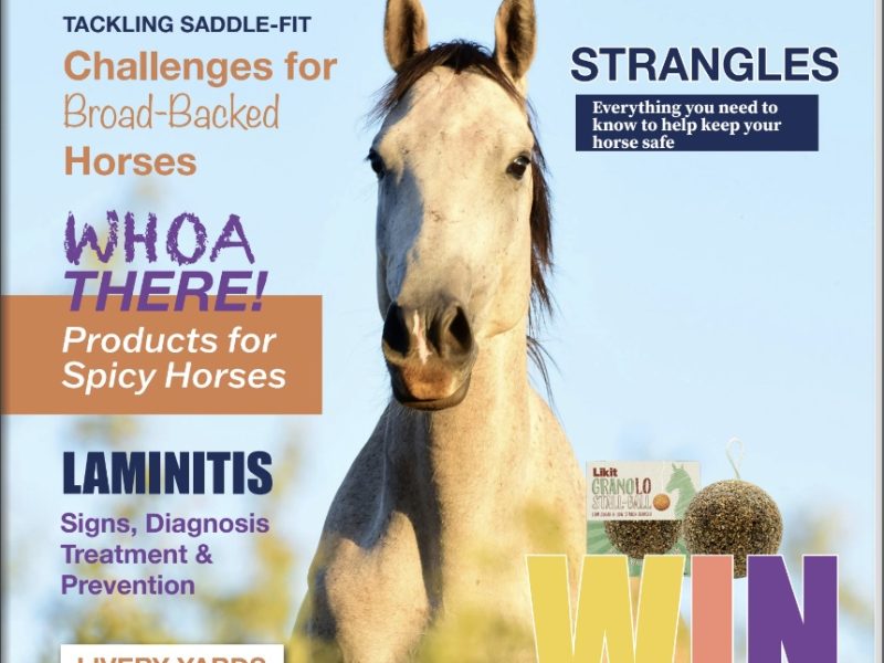 Everything Horse Magazine