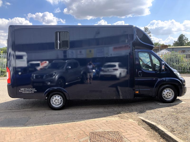 Horsebox for sale