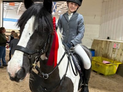 14.2 Super Jumping Pony For Sale