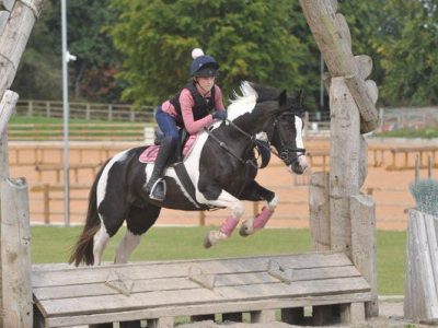 14.2 Super Jumping Pony For Sale