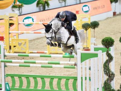 Royal Energetic Schoolmaster Gelding Hanoverian Jumper