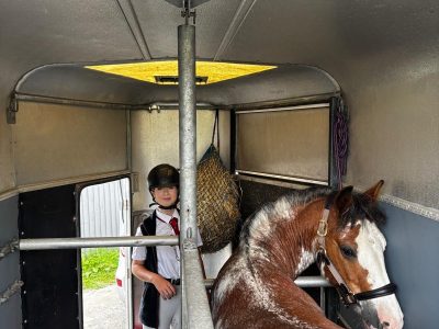 13.-13.3hh Blagdon Super Cob for Sale