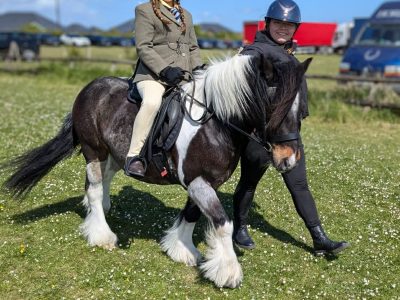 Super Second Pony Mini Cob for Sale