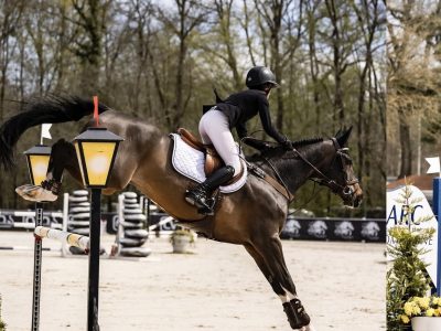 SOLD. TALENTED 7YO. GRAND PRIX FUTURE