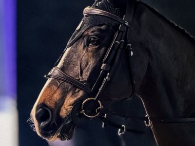 SOLD. TALENTED 7YO. GRAND PRIX FUTURE