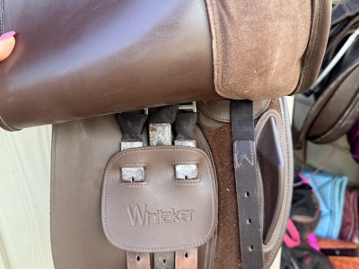 Whitaker Hebden 16inch Saddle for Sale