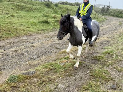 13.2 4 year old coloured mare, fun hacking pony for Sale