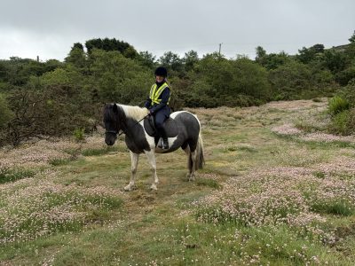 13.2 4 year old coloured mare, fun hacking pony for Sale