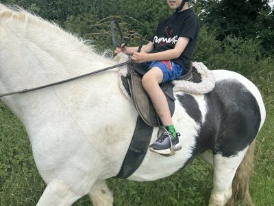 Super cob for Sale