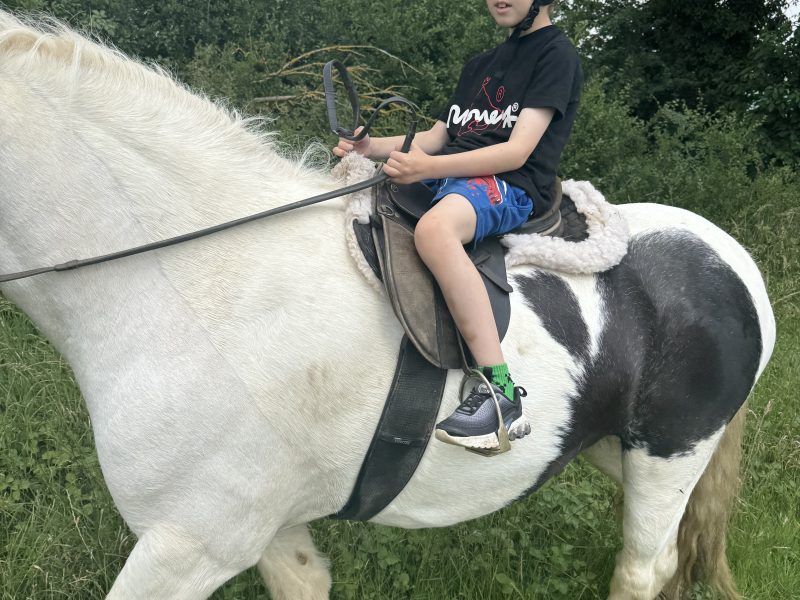 Super cob for Sale