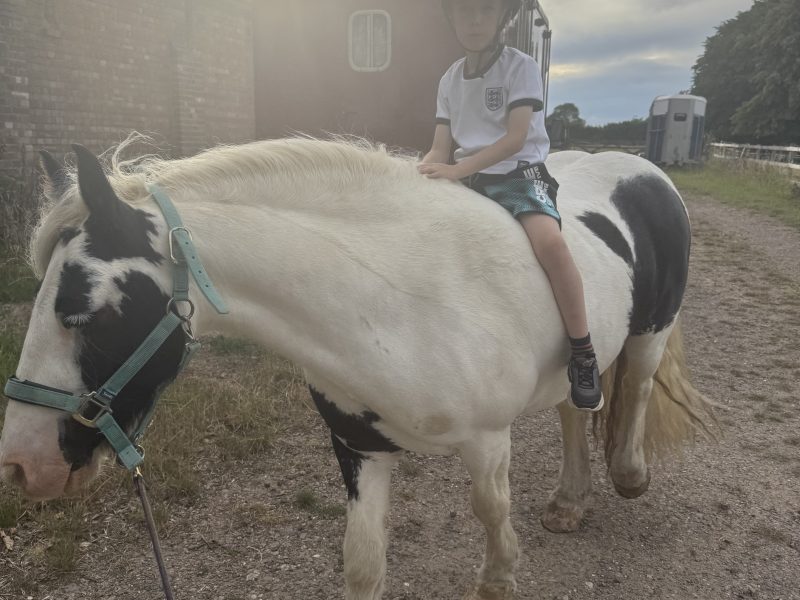 Super cob for Sale