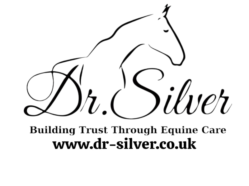 Dr Silver