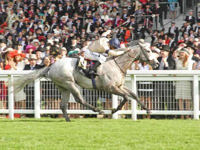 Hambleton Racing - Horse Racing Syndicates Made Easy