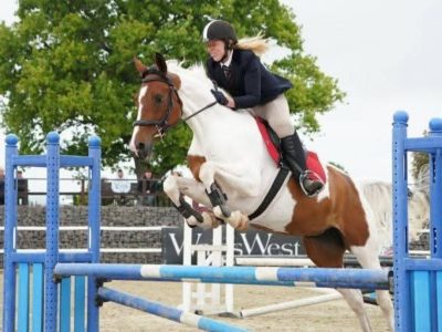 Nokandu (Kandi)– 16.3hh 8yo British Trakehner x Akhal-Teke Mare