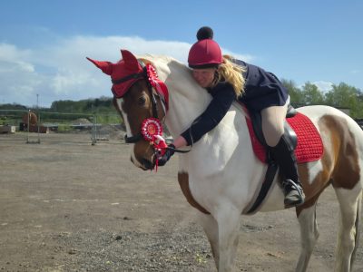 Nokandu (Kandi)– 16.3hh 8yo British Trakehner x Akhal-Teke Mare