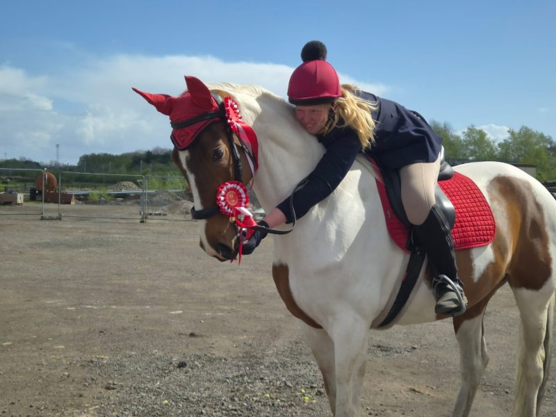 Nokandu (Kandi)– 16.3hh 8yo British Trakehner x Akhal-Teke Mare