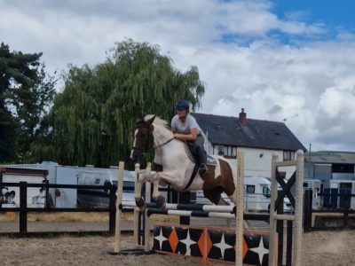 Nokandu (Kandi)– 16.3hh 8yo British Trakehner x Akhal-Teke Mare