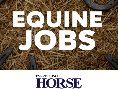 Home Groom Vacancy