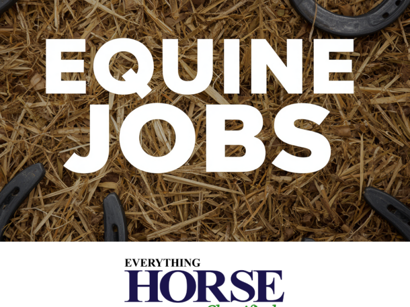 Freelance Driver Vacancy
