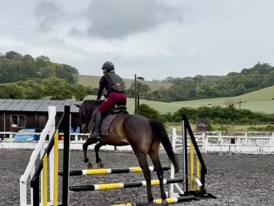 Talented 17hh Thoroughbred Gelding for Sale